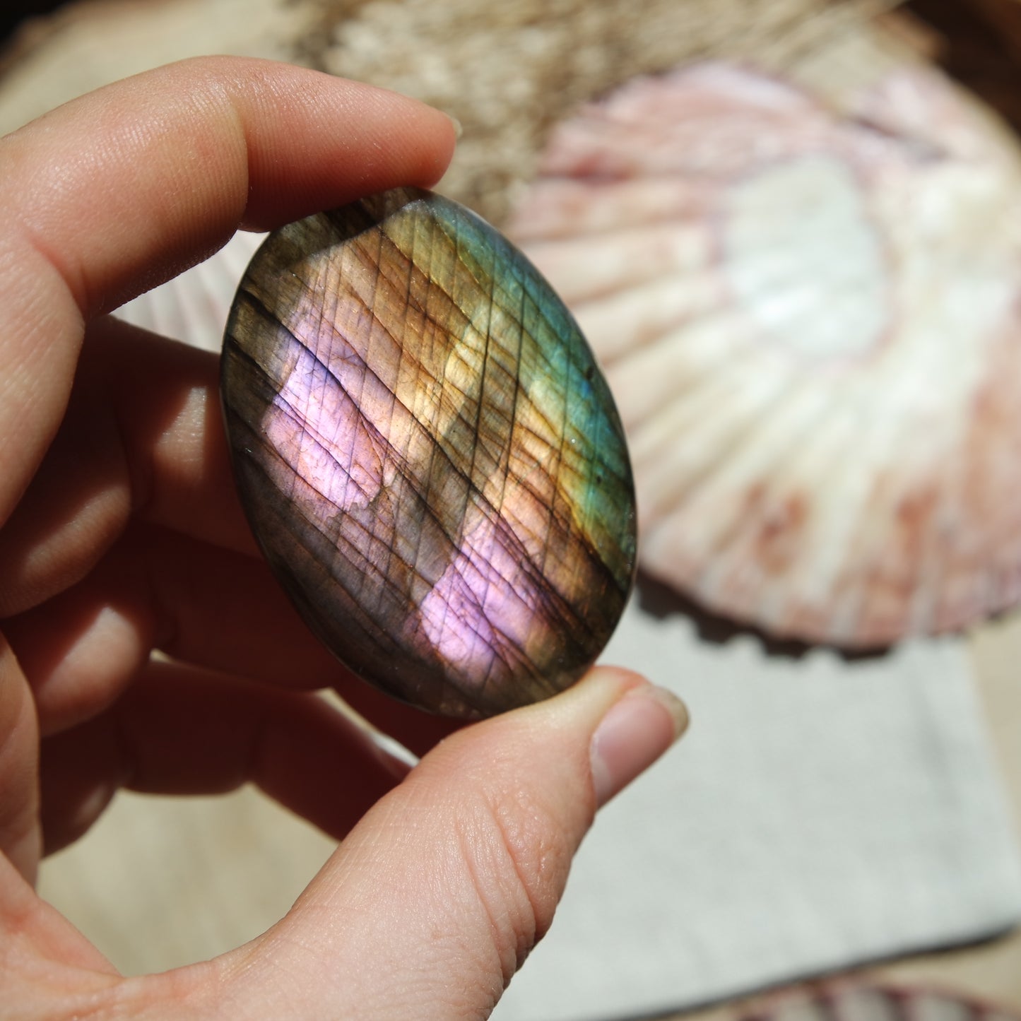 XL Labradorit Cabochon ~ 54XB