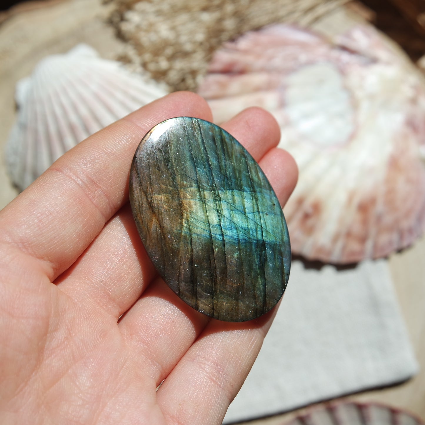 XL Labradorit Cabochon ~ 54XB