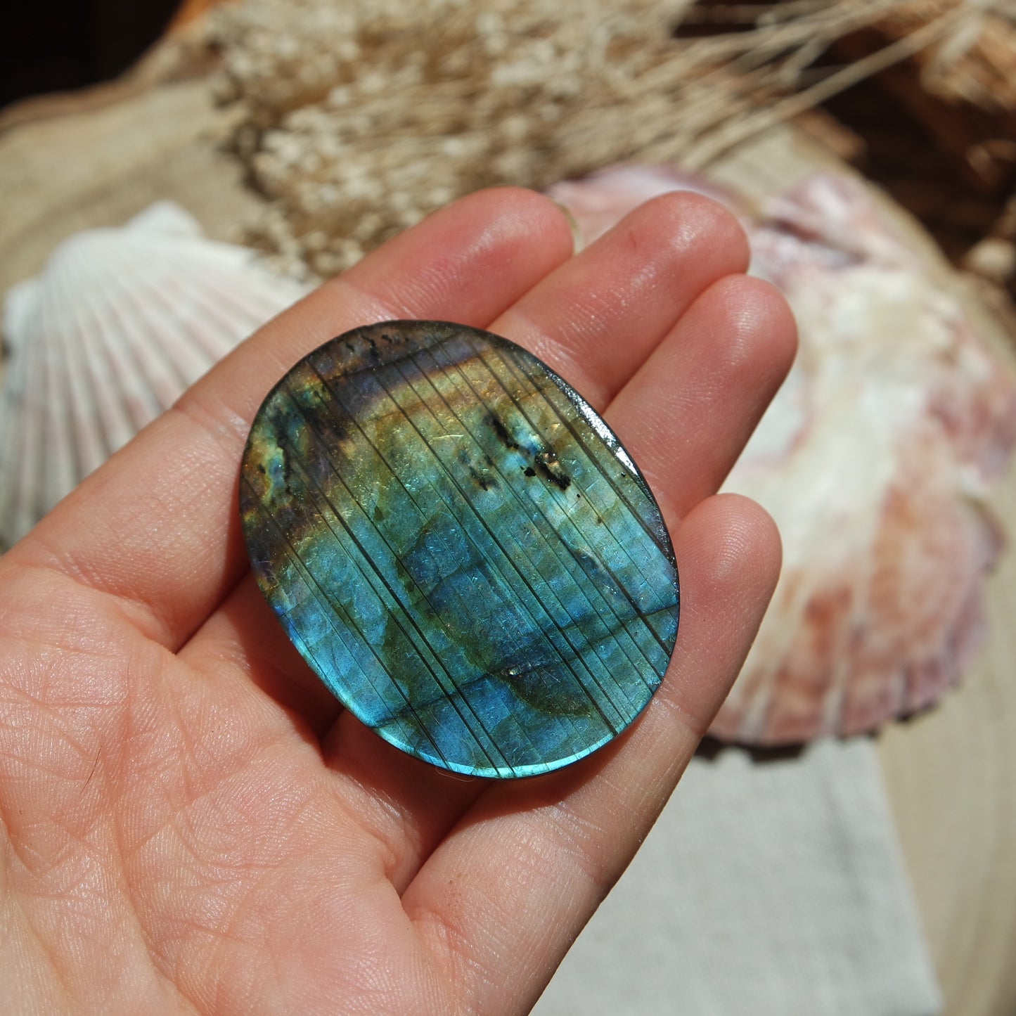 XL Labradorit Cabochon ~ 54XC
