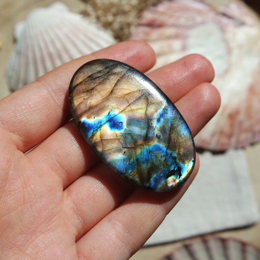 XL Labradorit Cabochon ~ 54XD