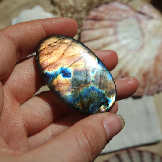 XL Labradorit Cabochon ~ 54XD