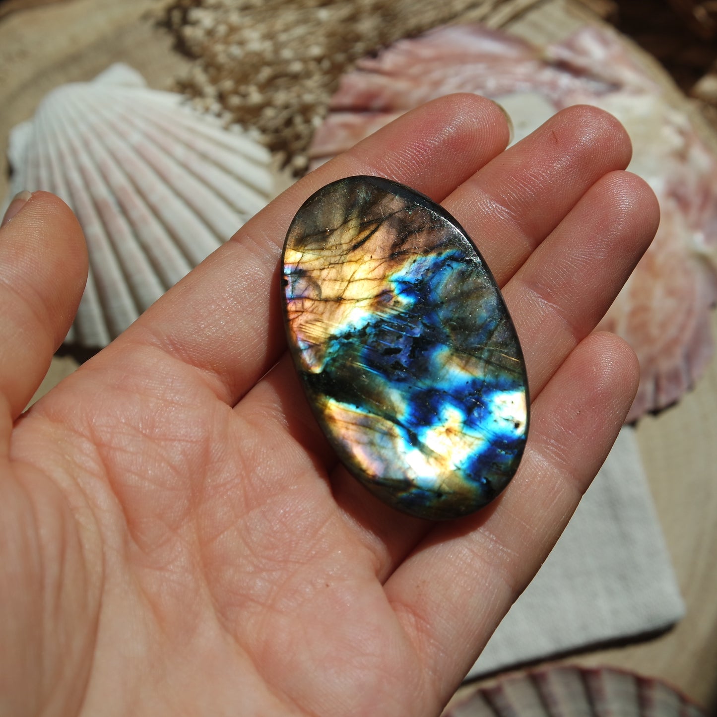 XL Labradorit Cabochon ~ 54XD