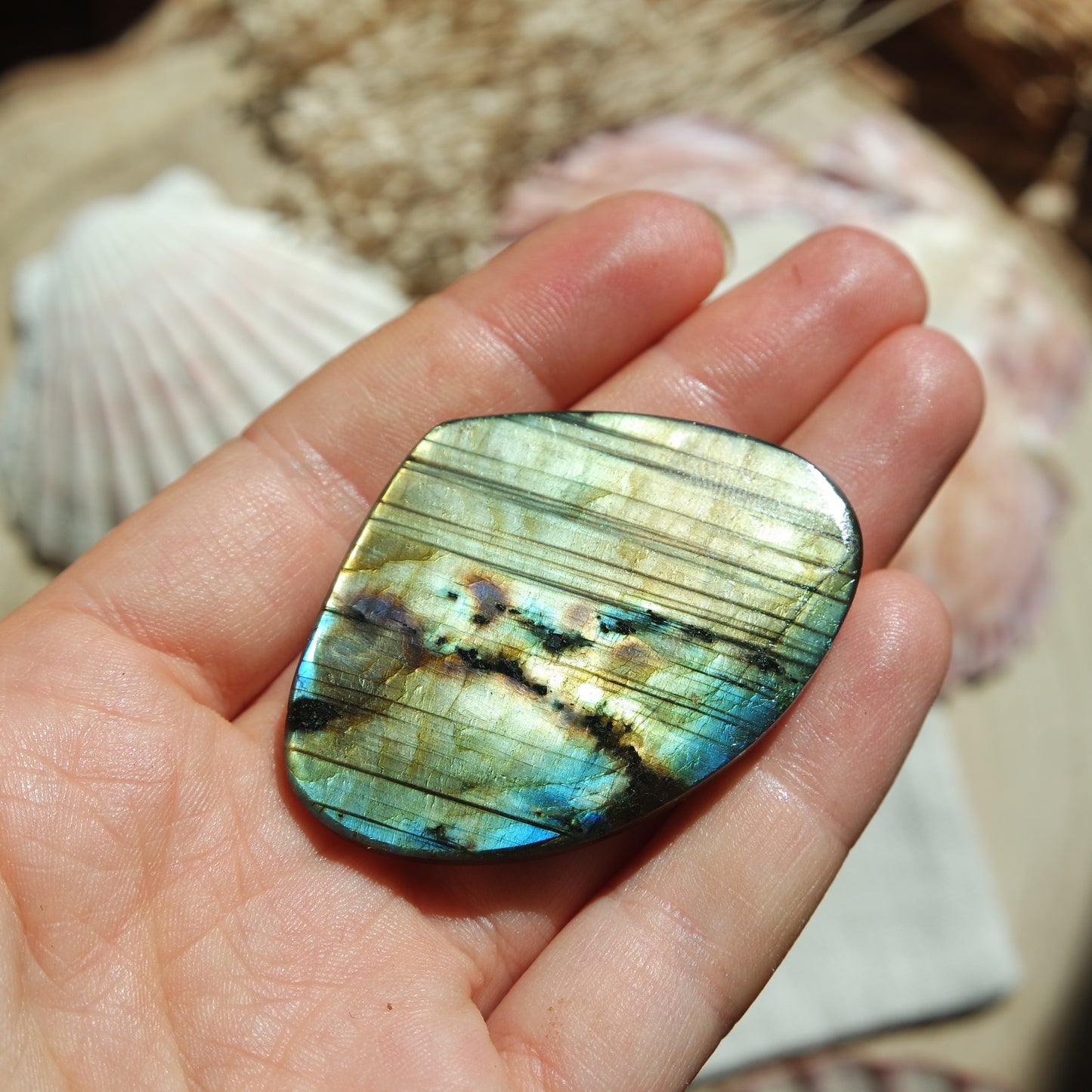 XL Labradorit Cabochon ~ 56XB