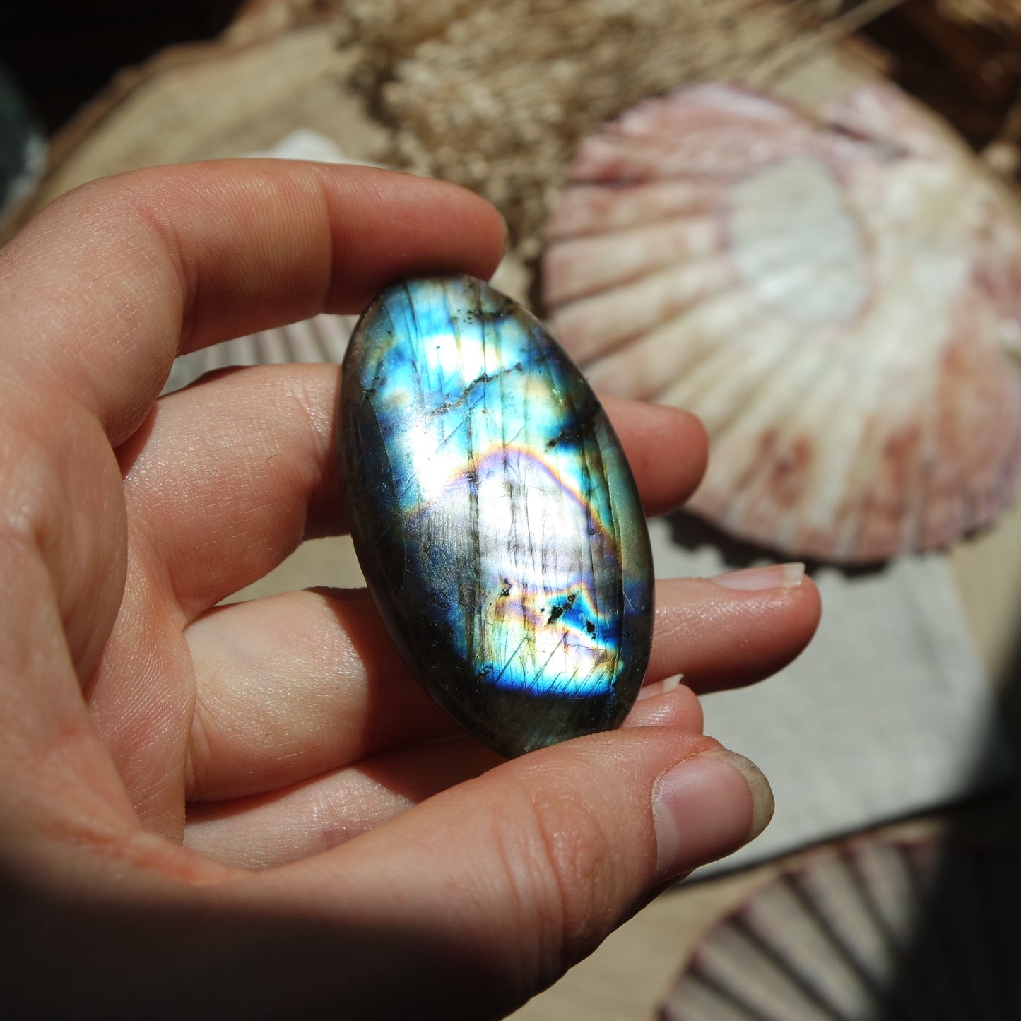 Labradorit Cabochon ~ 49XB