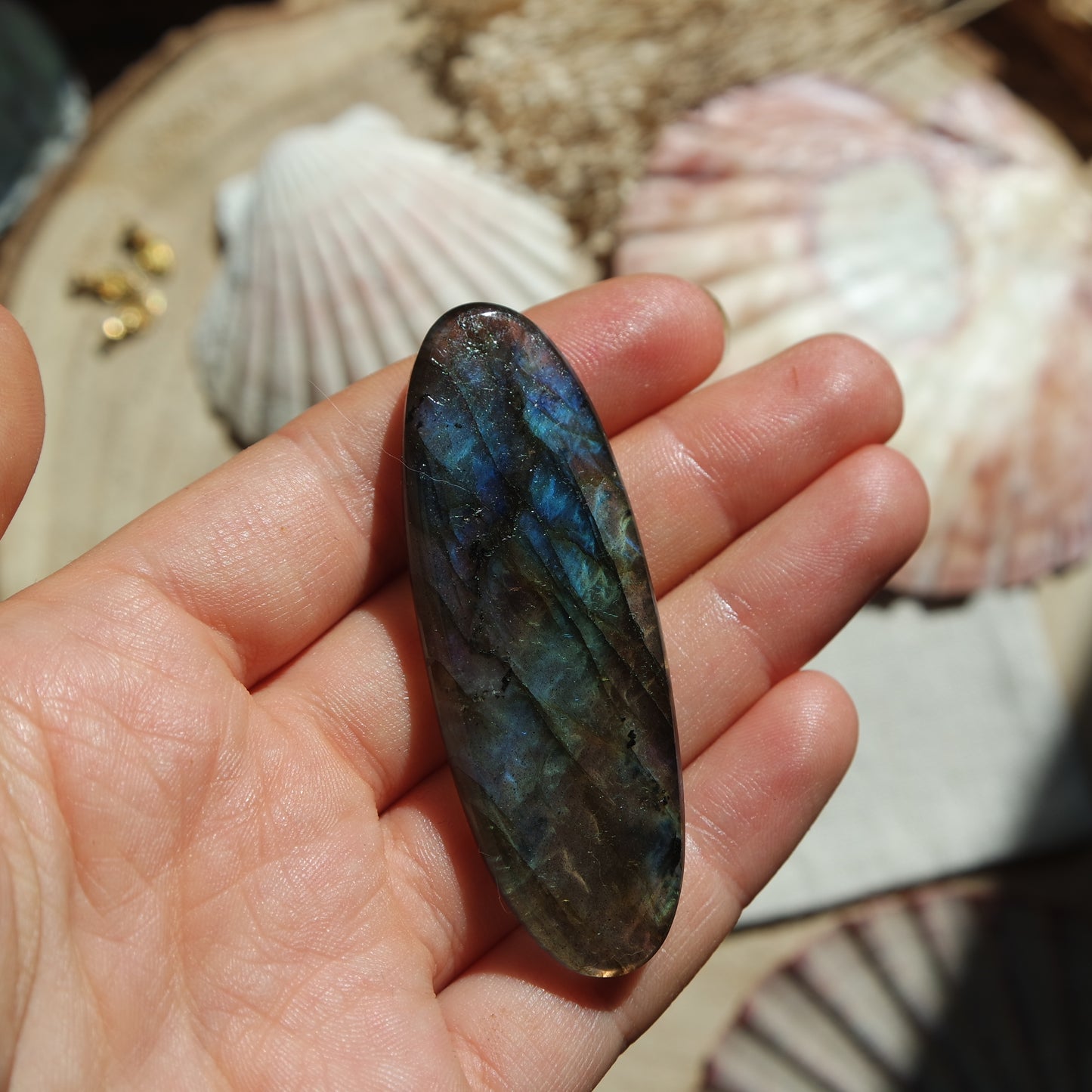 Labradorit Cabochon ~ 49Xi