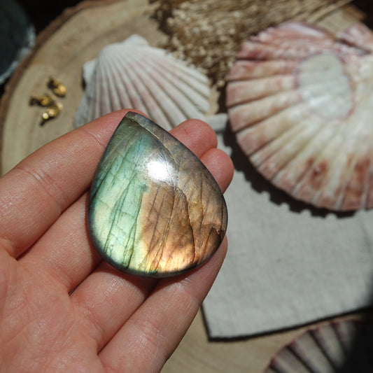 Labradorit Cabochon ~ 49Xj