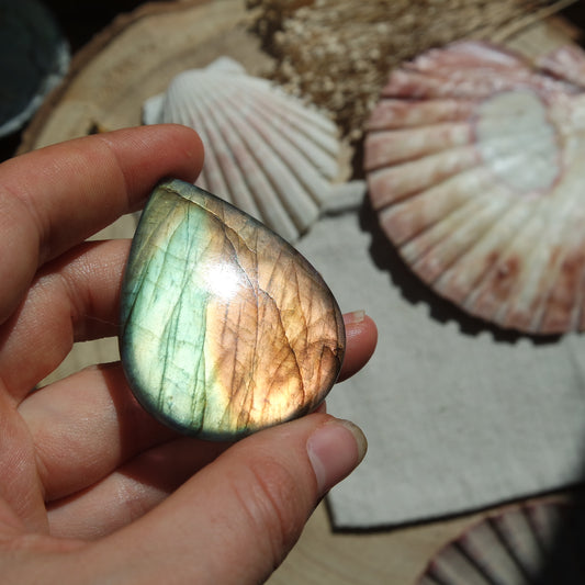 Labradorit Cabochon ~ 49Xj