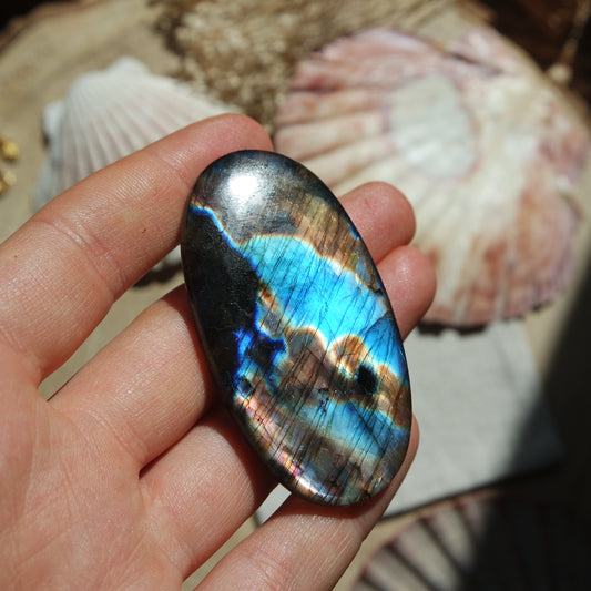 Labradorit Cabochon ~ 51XC