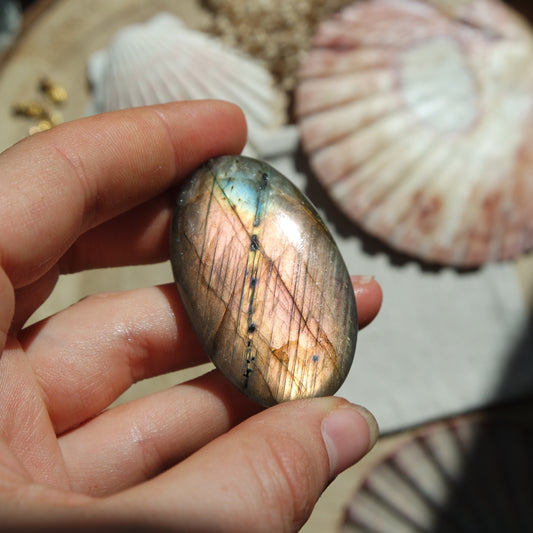 Labradorit Cabochon ~ 51XE