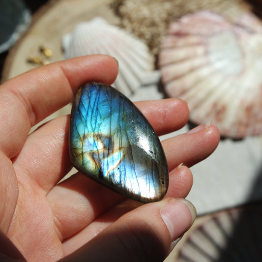 Labradorit Cabochon ~ 51XA