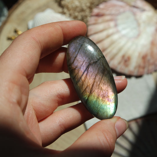 Labradorit Cabochon ~ 51XB