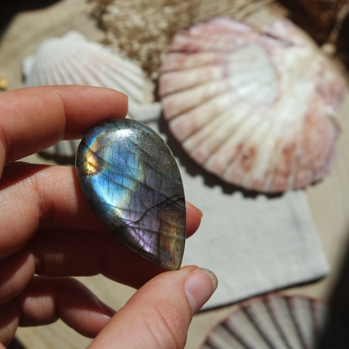 Labradorit Cabochon ~ 42XB