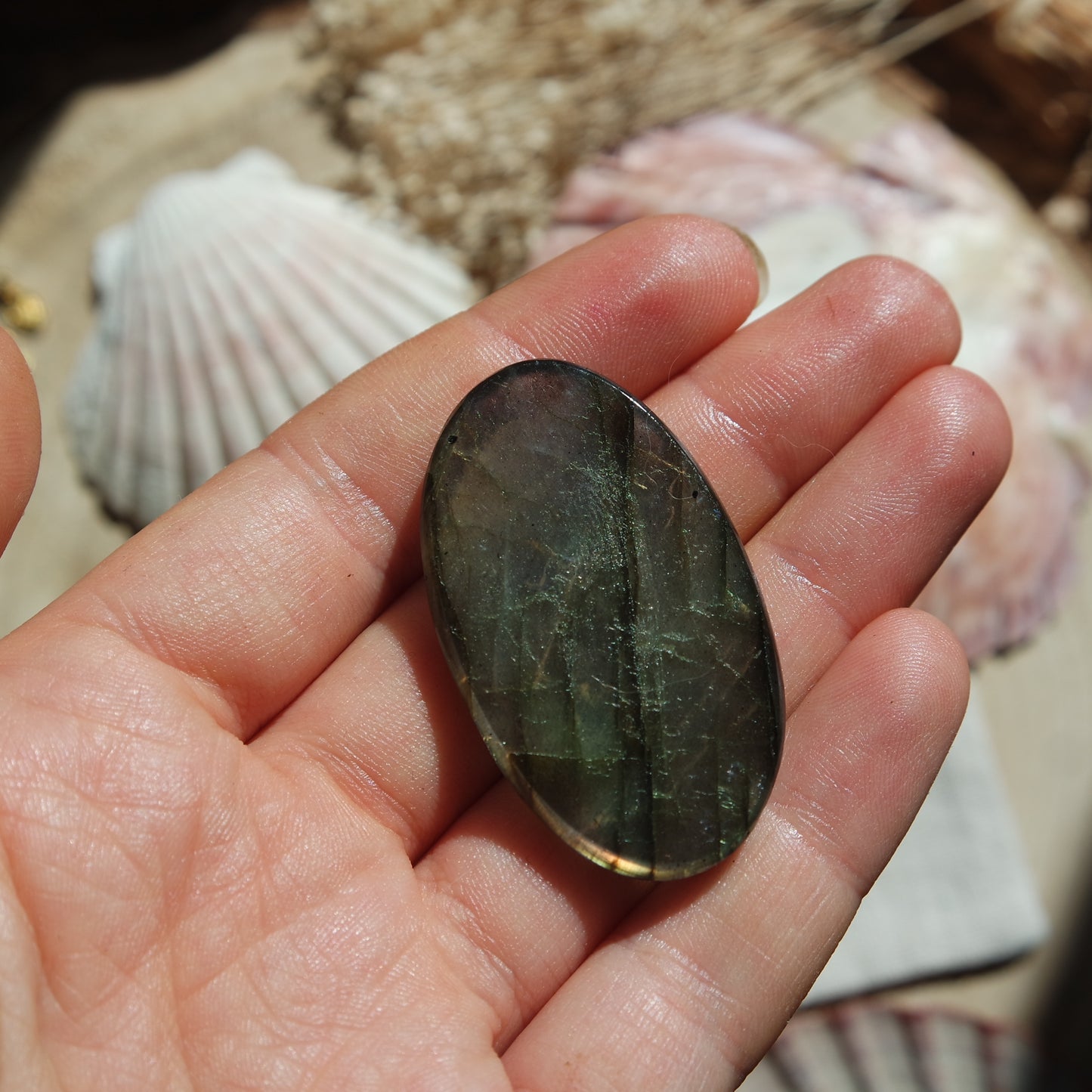 Labradorit Cabochon ~ 42XD