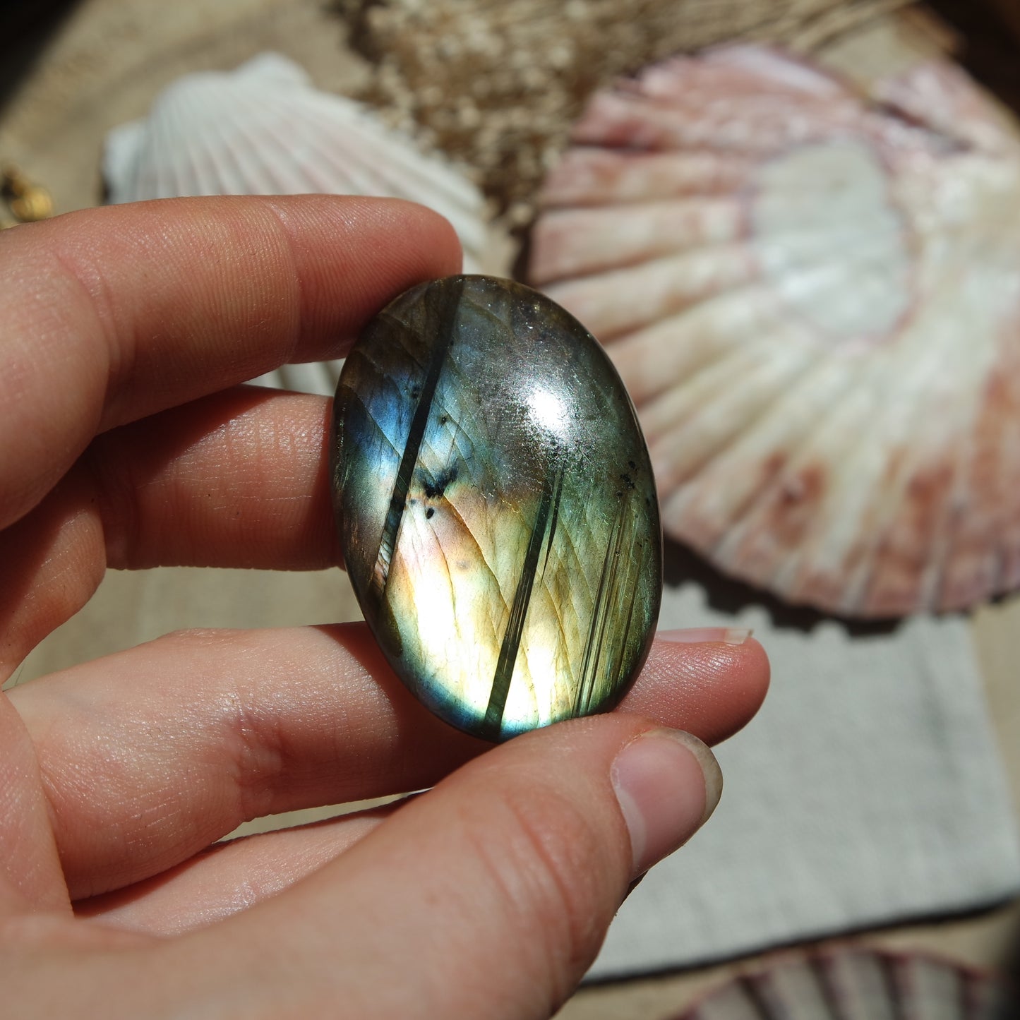 Labradorit Cabochon ~ 42XF