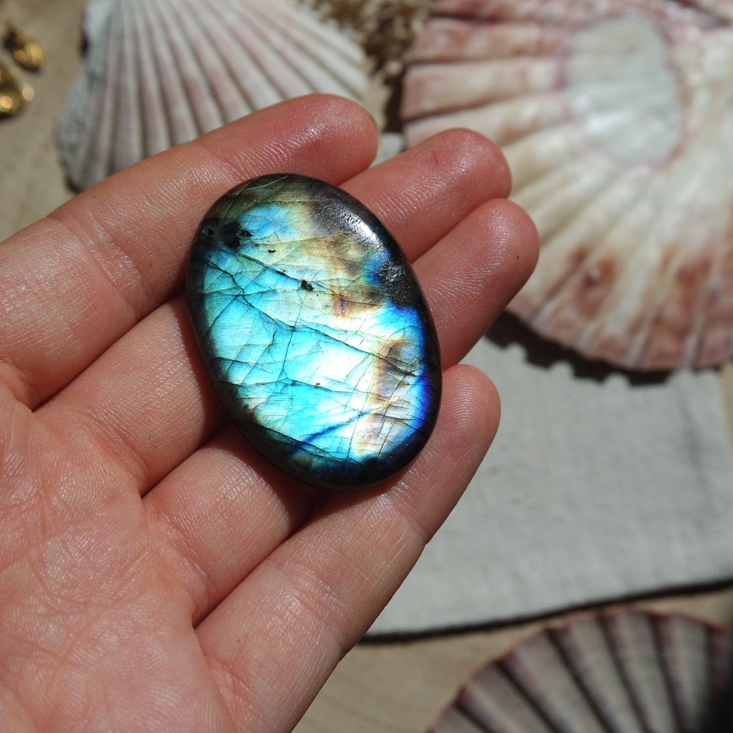 Labradorit Cabochon ~ 42XG