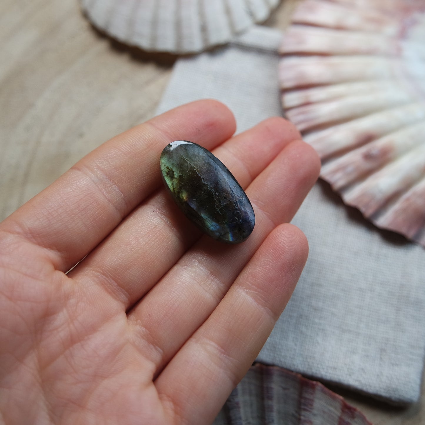 Labradorit Cabochon ~ 14YF