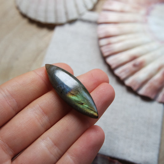 Labradorit Cabochon ~ 14Yj