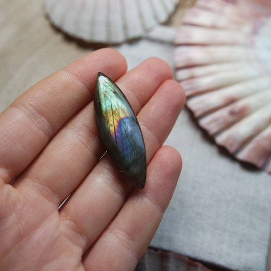 Labradorit Cabochon ~ 14Yj