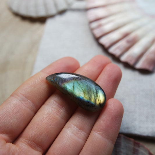 Labradorit Cabochon ~ 14YO