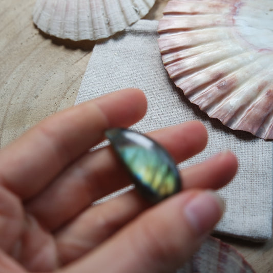 Labradorit Cabochon ~ 14YO