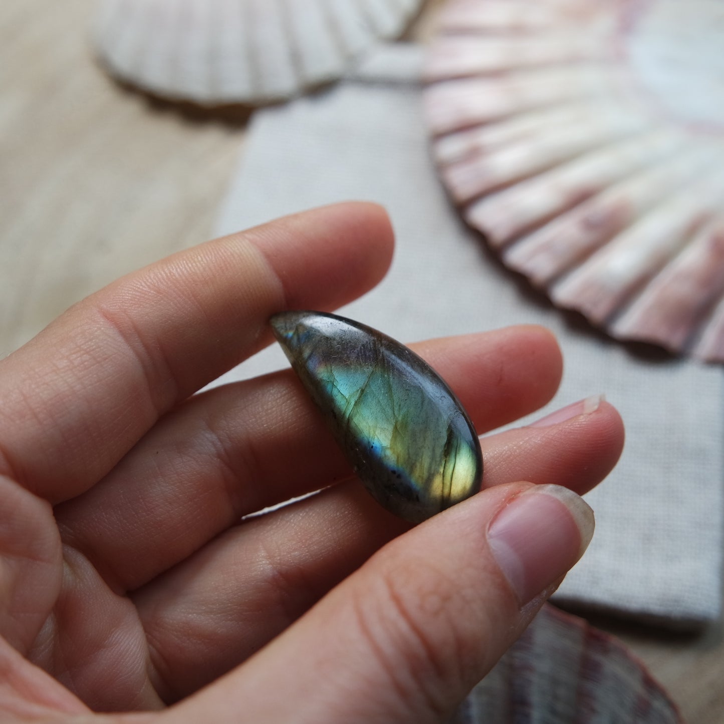 Labradorit Cabochon ~ 14YO