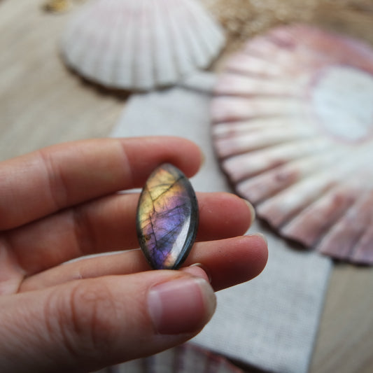 Labradorit Cabochon ~ 14YU