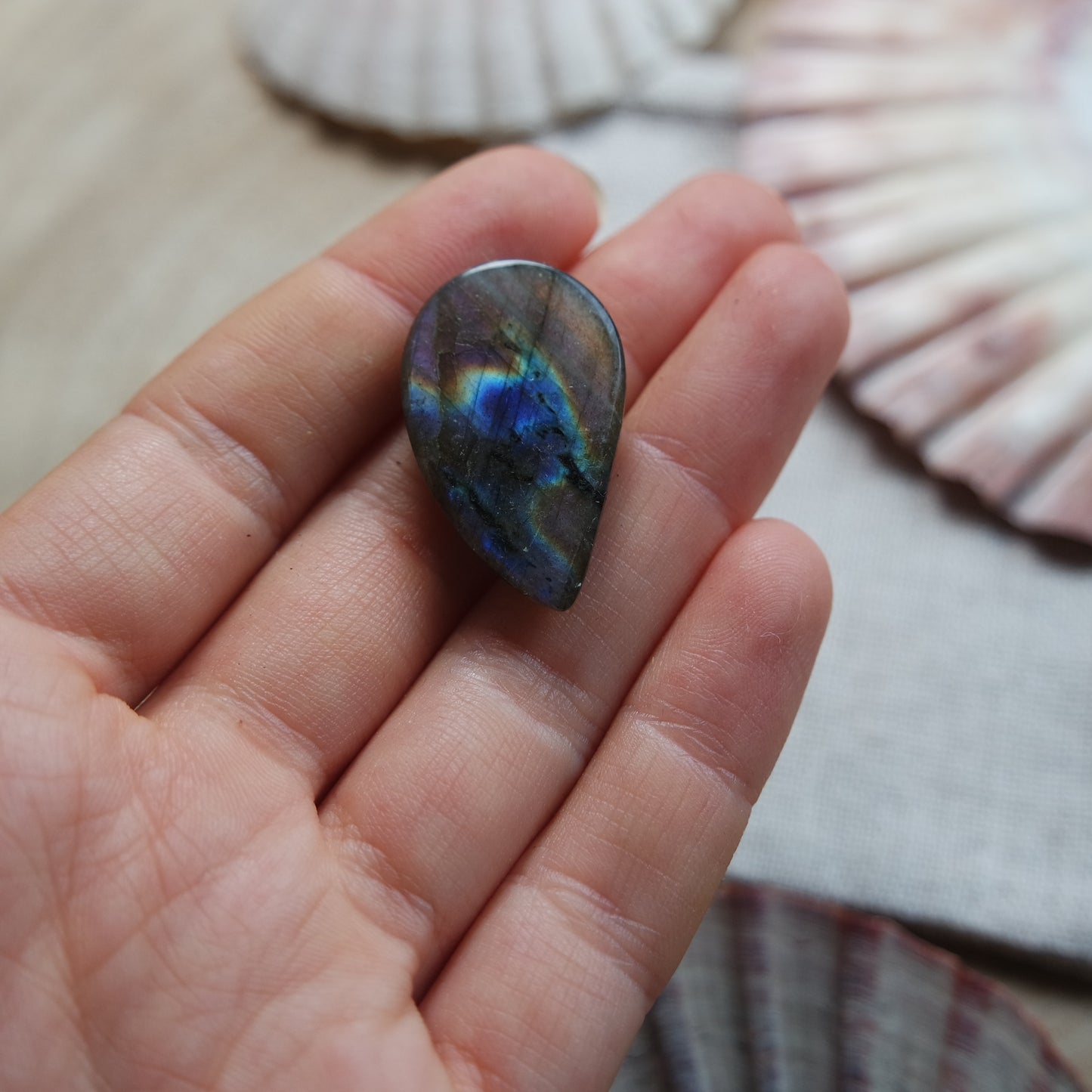 Labradorit Cabochon ~ 14YW