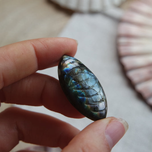 Labradorit Gravierter Cabochon ~ 18YC