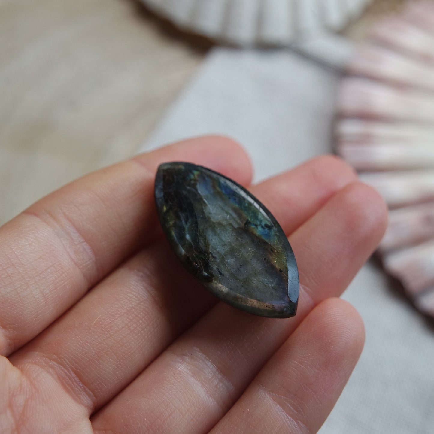 Labradorit Gravierter Cabochon ~ 18YC