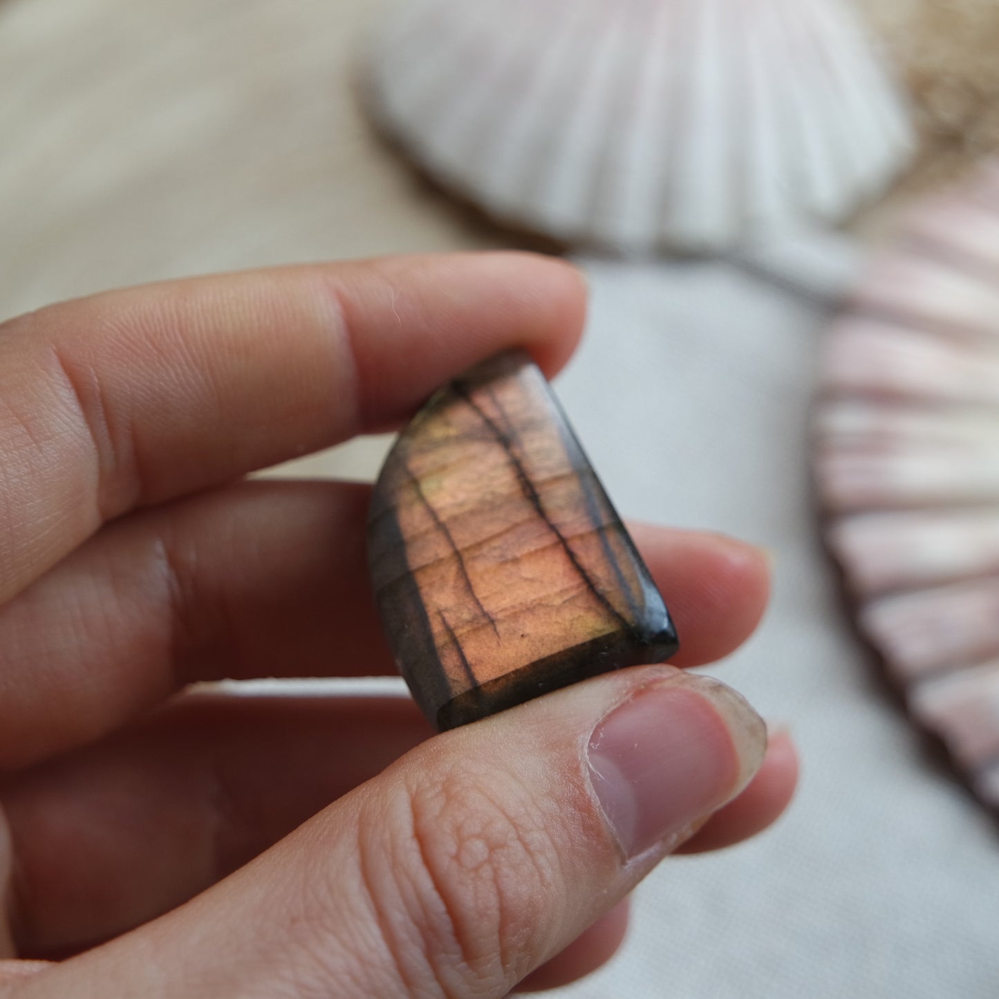 Labradorit Cabochon ~ 18YF