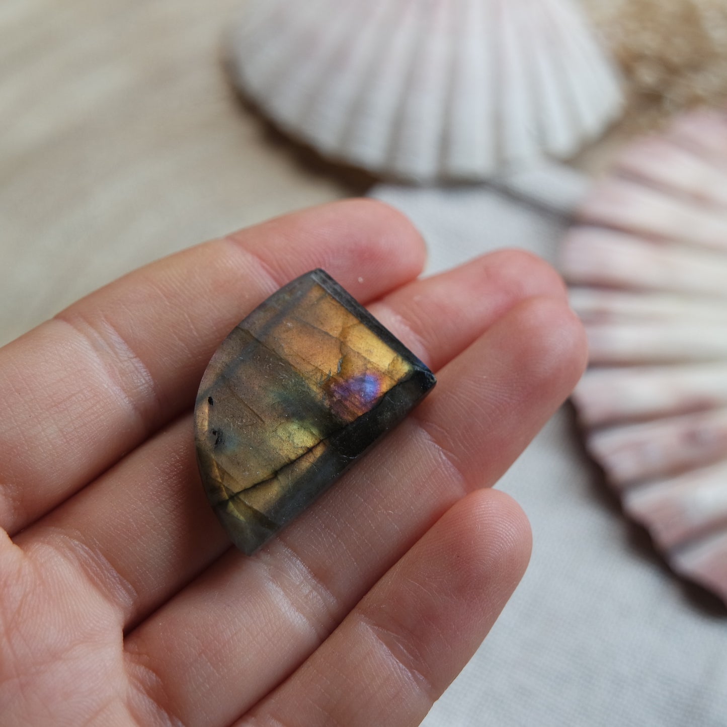 Labradorit Cabochon ~ 18YF