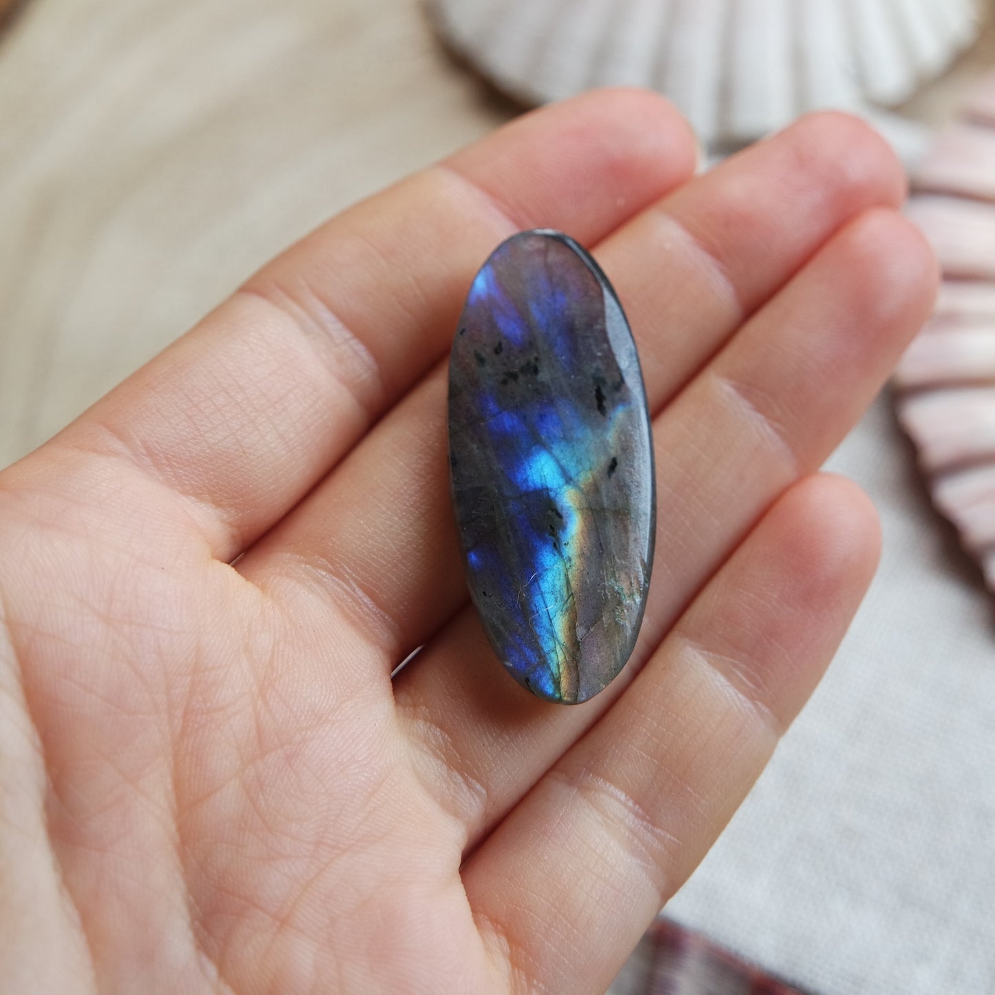 Labradorit Cabochon ~ 18YL