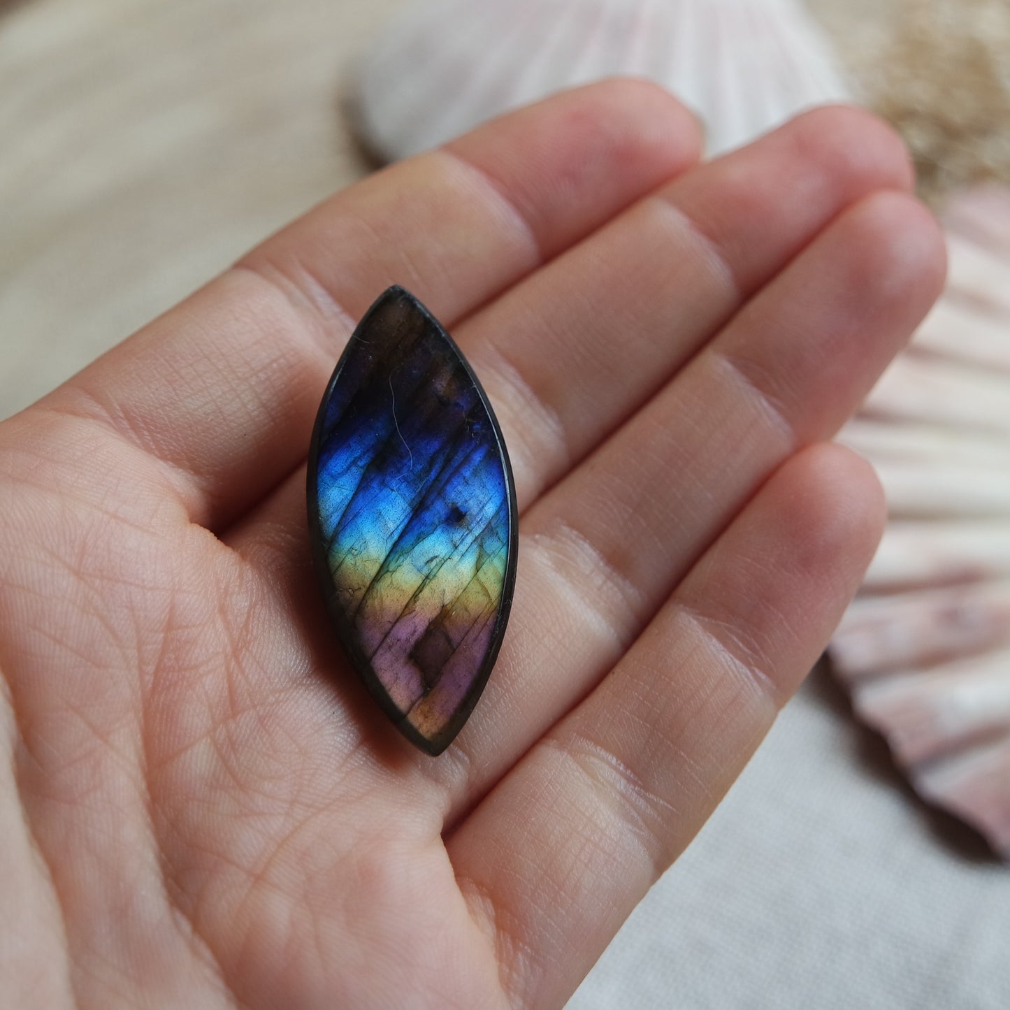 Labradorit Cabochon ~ 18YR