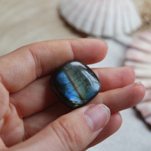 Labradorit Cabochon ~ 18YT