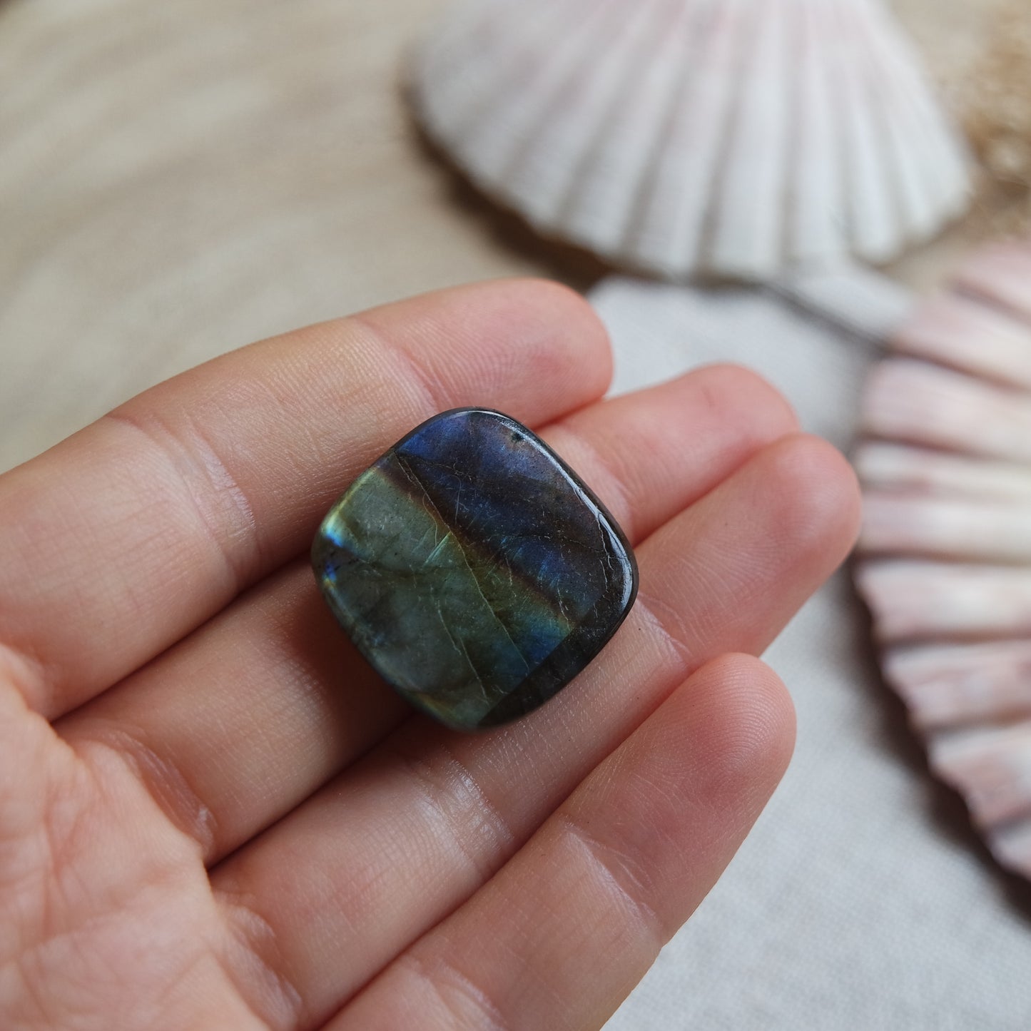 Labradorit Cabochon ~ 18YT