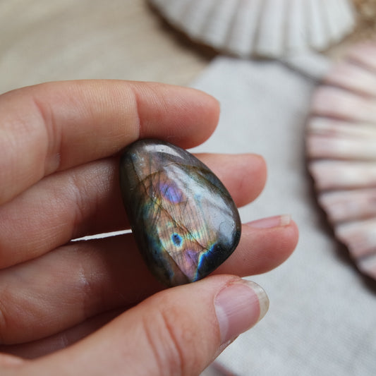 Labradorit Cabochon ~ 18YU