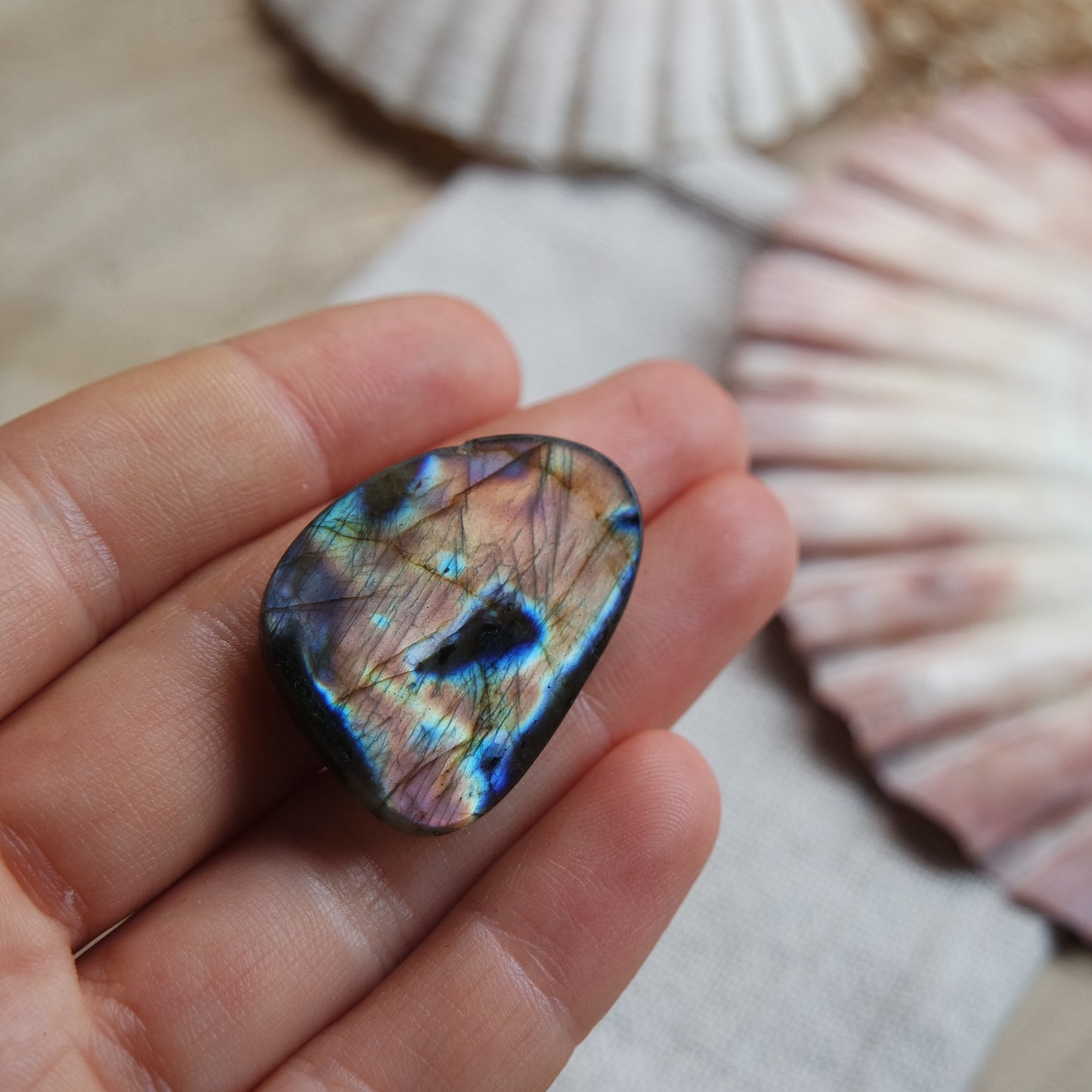Labradorit Cabochon ~ 18YU
