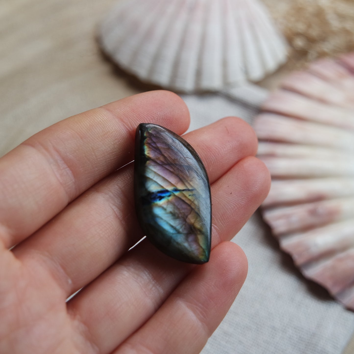 Labradorit Cabochon ~ 18YW