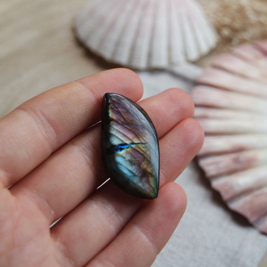 Labradorit Cabochon ~ 18YW