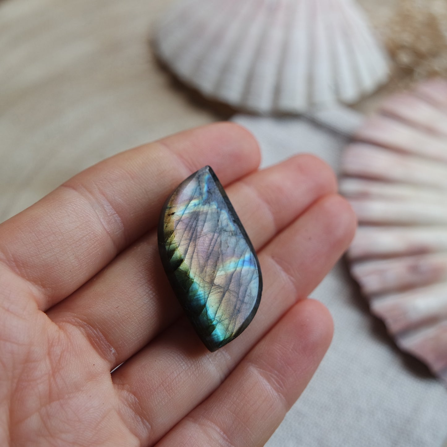 Labradorit Cabochon ~ 18YW