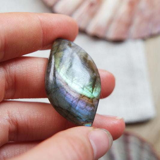Labradorit Cabochon ~ 18YZ