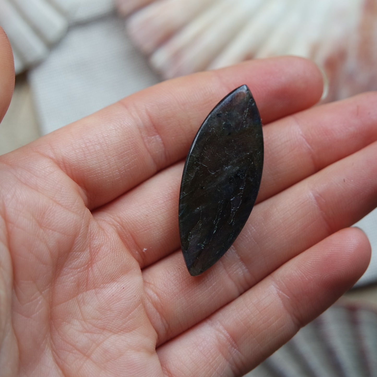 Labradorit Cabochon ~ 18ZA