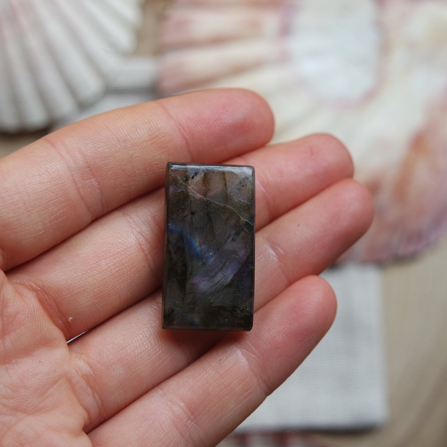 Labradorit Cabochon ~ 18ZC