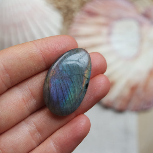 Labradorit Cabochon ~ 18ZE