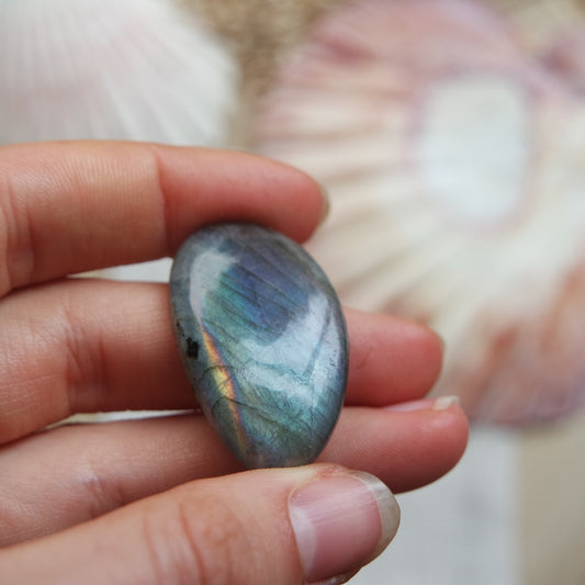 Labradorit Cabochon ~ 18ZE