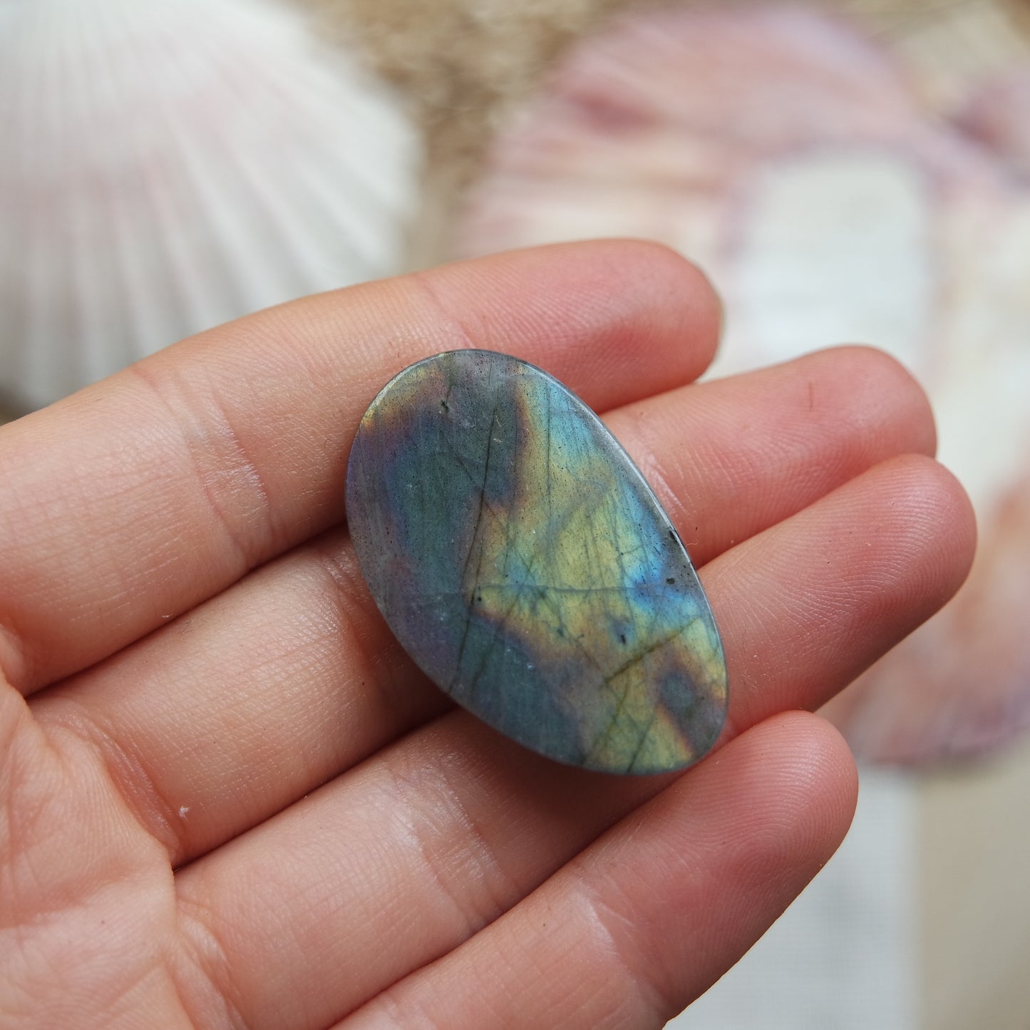 Labradorit Cabochon ~ 18ZE