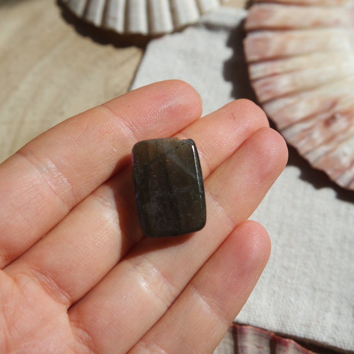 Lila Labradorit Cabochon ~ 12VA