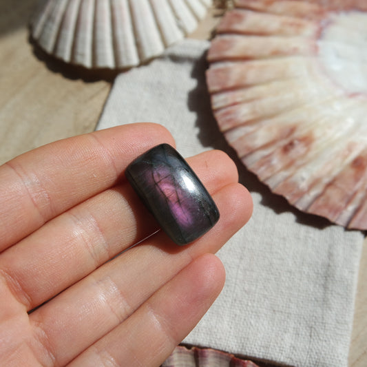 Lila Labradorit Cabochon ~ 14xh