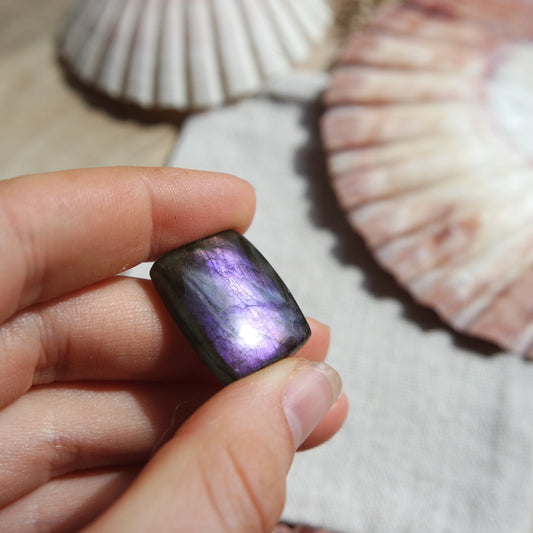 Lila Labradorit Cabochon ~ 14xj