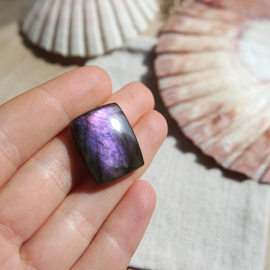 Lila Labradorit Cabochon ~ 14xj